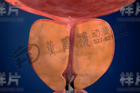 https://www.tiankonglan.com/post/4978.html|三维动画制作