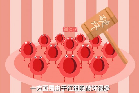https://www.tiankonglan.com/post/4833.html|动画制作百科