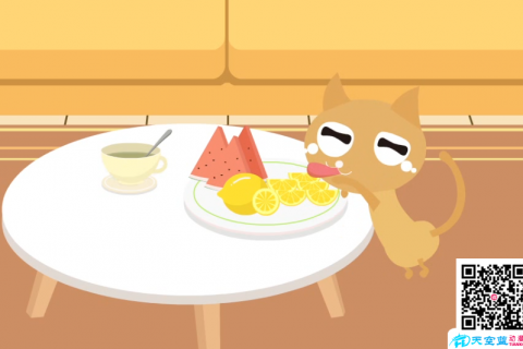 https://www.tiankonglan.com/post/4615.html|MG动画创作