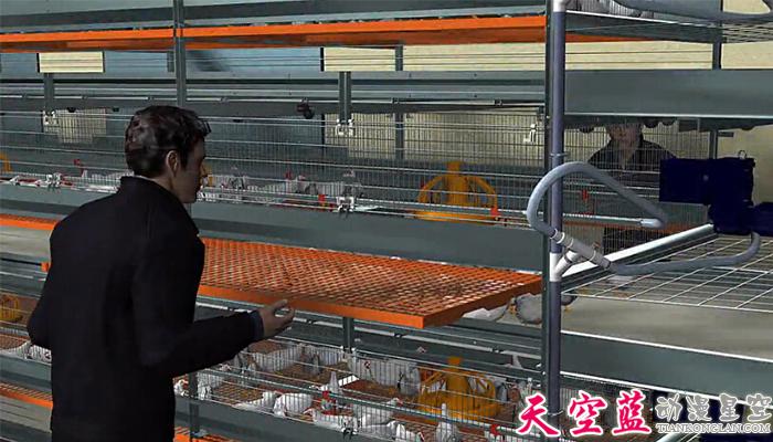 层叠式肉鸡笼养系统三维机械动画制作2.jpg 层叠式肉鸡笼养系统三维机械动画制作2.jpg