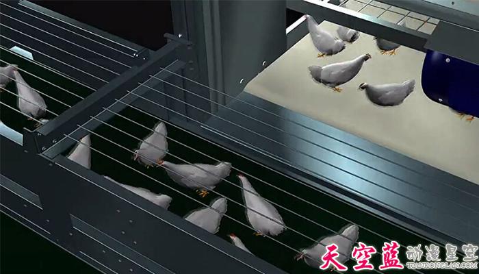 层叠式肉鸡笼养系统三维机械动画制作4.jpg