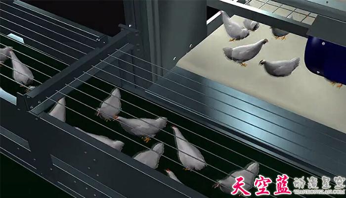 层叠式肉鸡笼养系统三维机械动画制作4.jpg 层叠式肉鸡笼养系统三维机械动画制作4.jpg