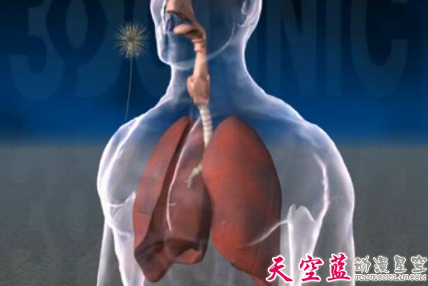 哮喘发病机理三维3D医学动画制作.jpg