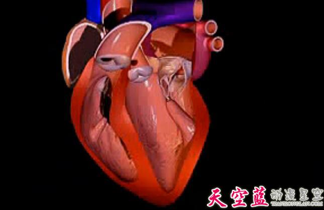 充血性心衰的发生机制医学三维3D动画制作.jpg