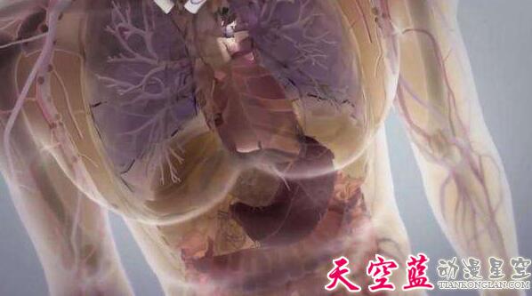 武汉医学动画制作来解释“埃及婴儿一只眼睛”.jpg