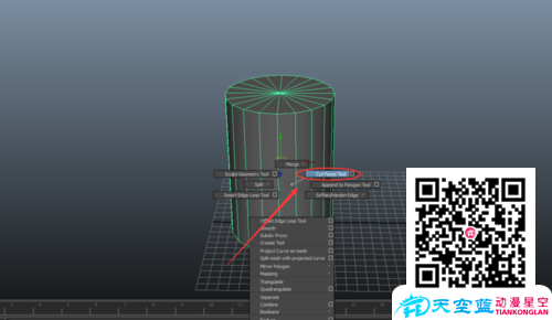 maya模型逐渐出现或成型的动画制作